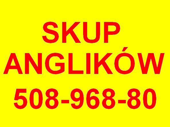 Skup aut, skup aut z anglii, Warszawa, mazowieckie