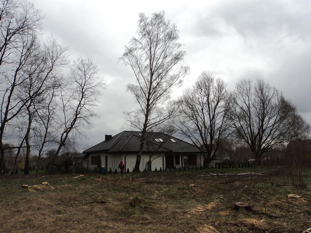 Wycinka, formowanie, przycinanie koron drzew ŁÓDŹ RZGÓW PABIANICE, Łódź, okolice, łódzkie