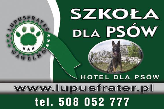 Hotel dla psów, szkolenie psów, szkoła dla psów, Opole, opolskie