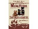 NEW YORK to salon psiej urody działający w Warszaw