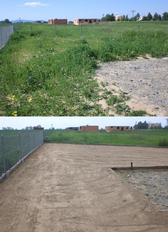 Zakładnie trawników, Ząckowice Śląskie, dolnośląskie
