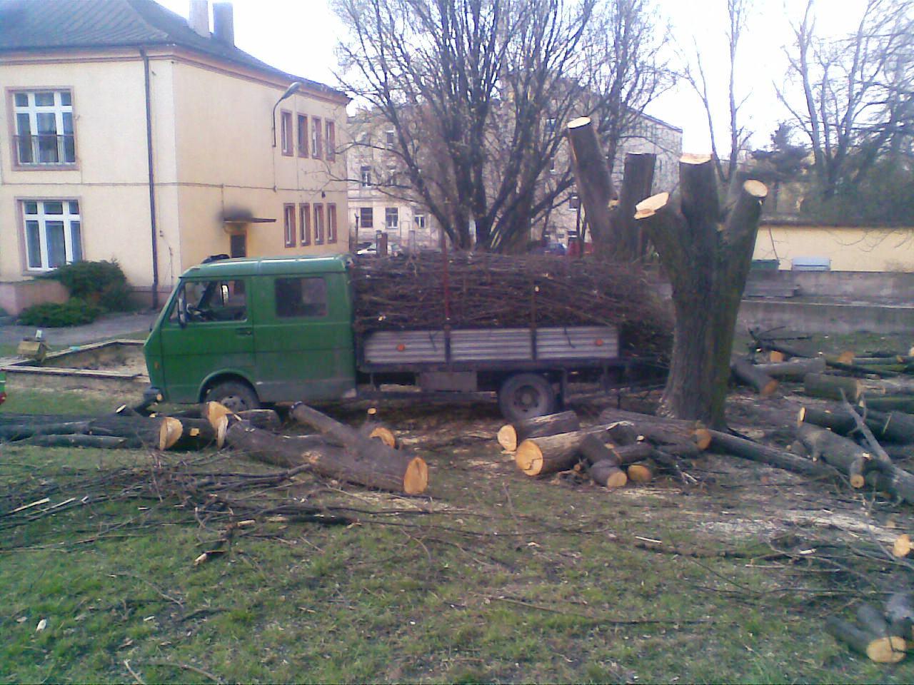 No to były sobie lipy...padły pod pilarką.