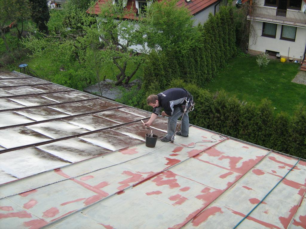 Alpin KIng - prace wysokościowe, malowanie dachów, Kraków, małopolskie
