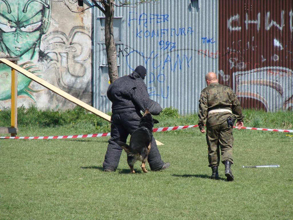 Www.cspo-podhale.com.pl,  Łopuszna  Kraków -Zakopane- Nowy Targ, małopolskie