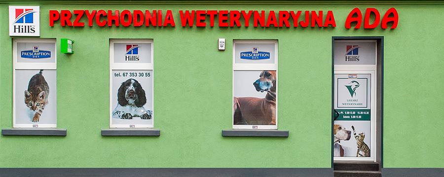 Weterynarz pila,klinika weterynaryjna piła, wielkopolskie