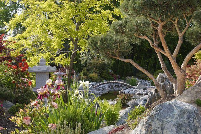 Ogrody bonsai - projektowanie i zakładanie, Janowice, śląskie