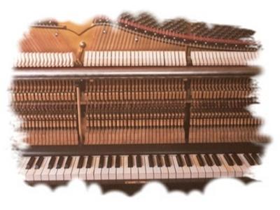 Strojenie i Naprawa Pianin oraz fortepianow