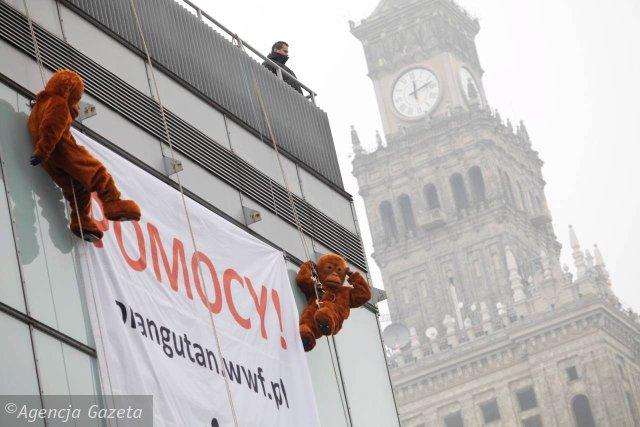 Chodząca maskotka, strój reklamowy, wypożyczalna