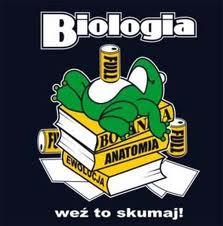 Korki, biologia, chemia, matura, poprawka, Warszawa, mazowieckie