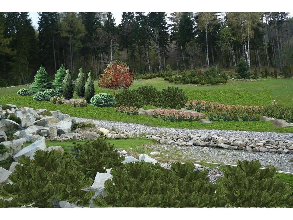 Projektowanie ogrodów.Ciecie i formowanie Bonsai, Bielsko-Biała,Żywiec,Cieszyn,Andrychów,Tychy, śląskie