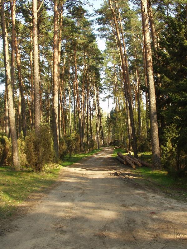 Domek letniskowy Pojezierze Brodnickie, Pruszków, mazowieckie