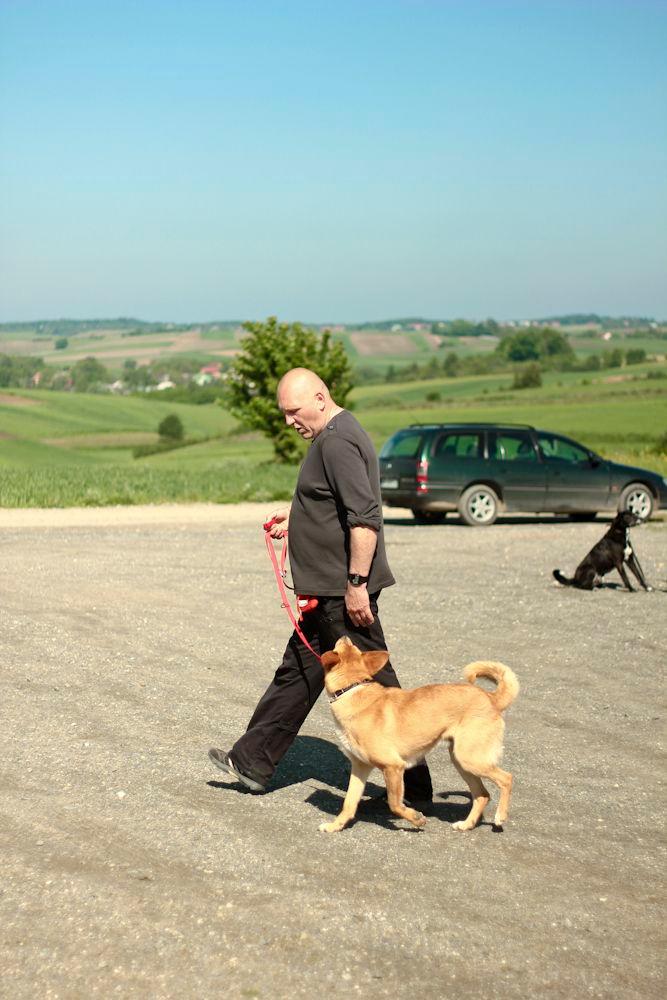 SZKOLENIE PSÓW POZYTYWNE KLIKEROWE PORADY POMOC, Przemyśl, podkarpackie