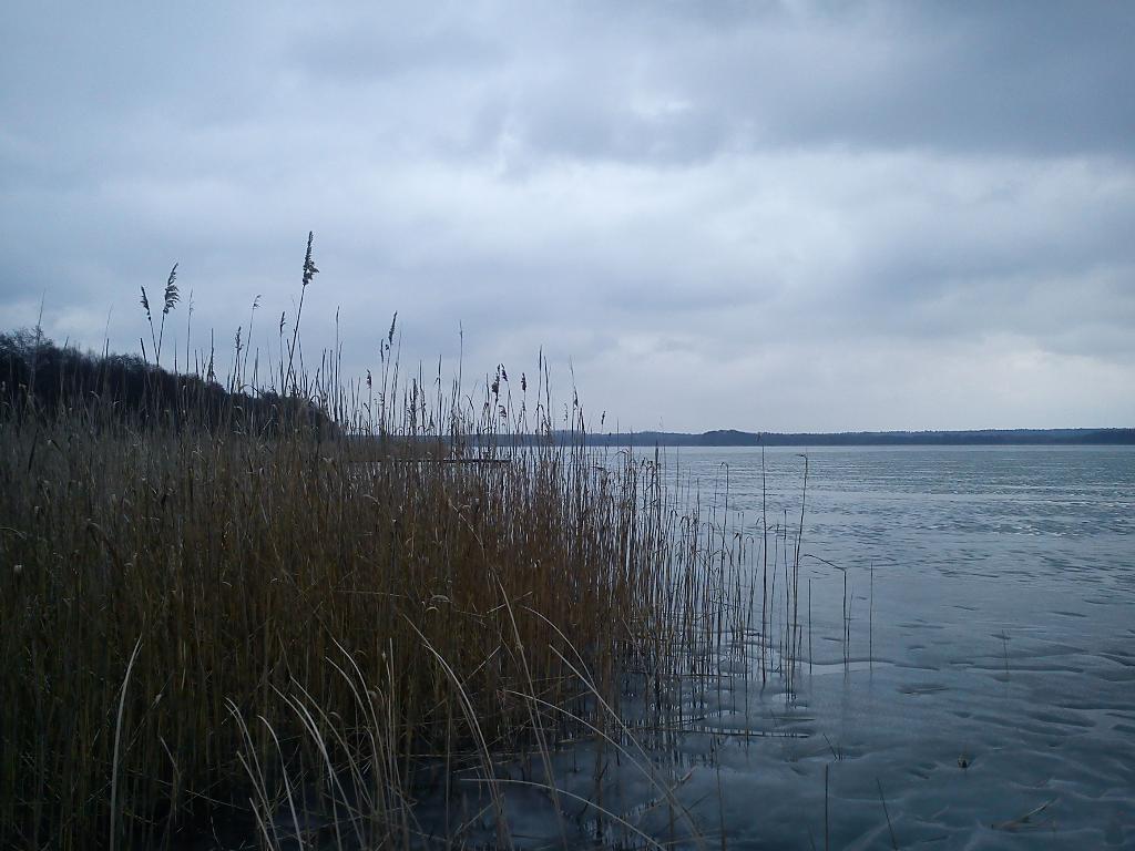 Działki rekreacyjno i siedlisko, MATYLDÓW gmŁąck, mazowieckie