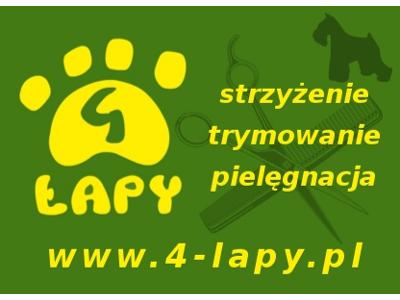 www.4-lapy.pl - kliknij, aby powiększyć