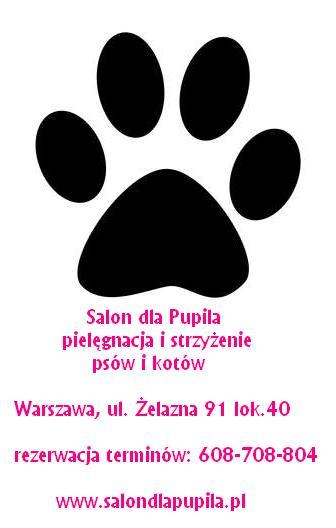Strzyżenie, trymowanie, kąpiele psów i kotów, Warszawa, mazowieckie