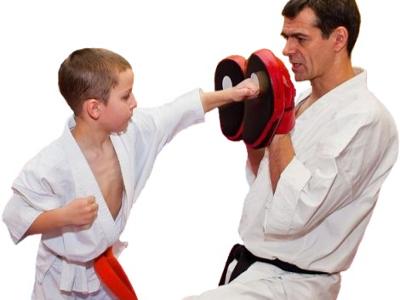BYDGOSKA SZKOŁA KYOKUSHIN KARATE - karate.ecom.com.pl - kliknij, aby powiększyć