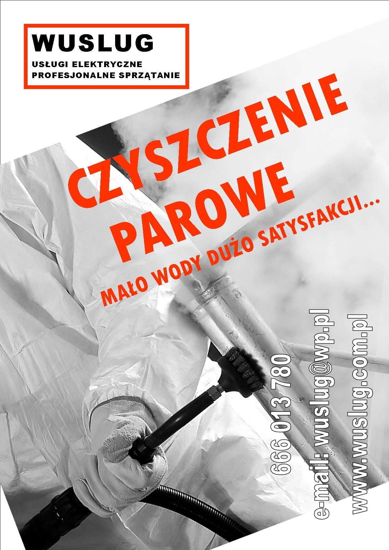 USŁUGI ELEKTRYCZNE CZYSZCZENIE PAROWE, Bydgoszcz , Brzozowa, kujawsko-pomorskie