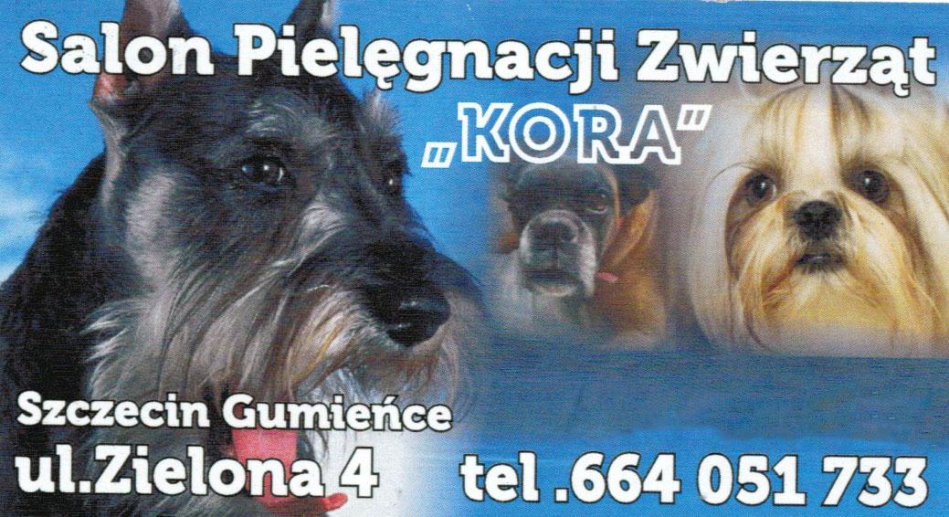 Strzyżenie psów, kąpiele, zabiegi pielęgnacyjne, Szczecin, zachodniopomorskie