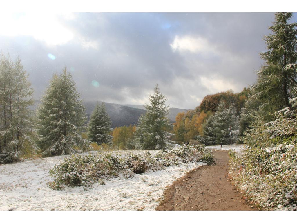 Bieszczady