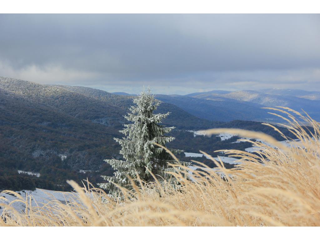 Bieszczady