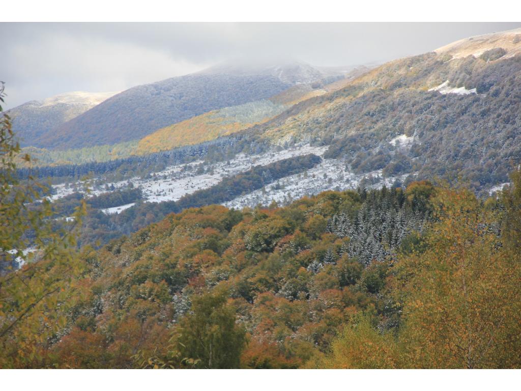 Bieszczady