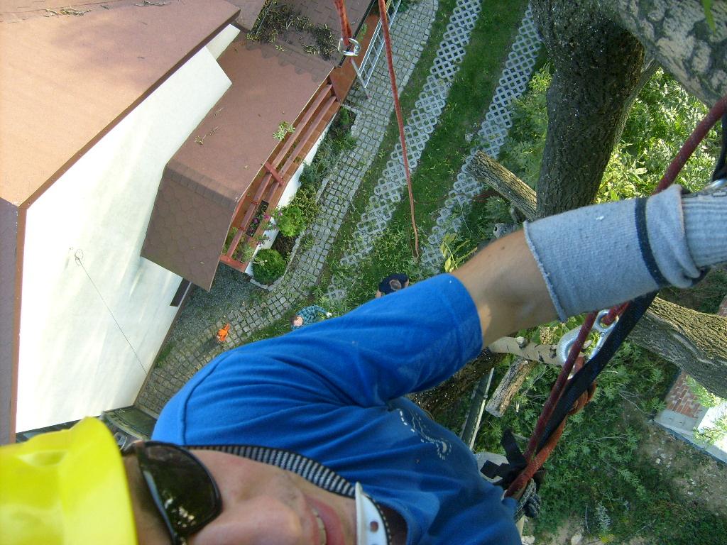 Wycinka, pielęgnacja drzew również trudno usytuowanych , Jaworzno, Katowice , Sosnowiec, Chrzanów,, śląskie