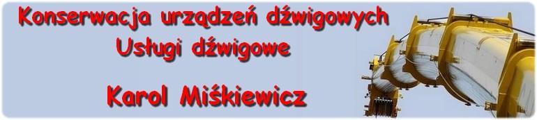 Usługi dźwigowe Sieradz Zduńska Wola Łask, Sieradz, Zduńska Wola, Łask, Pabianice, łódzkie