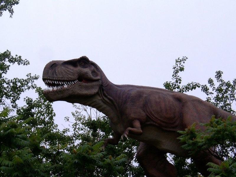 Pomysł na Biznes - park tematyczny, dinozaury!