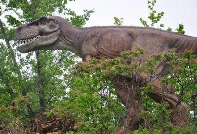 Pomysł na Biznes - park tematyczny, dinozaury!