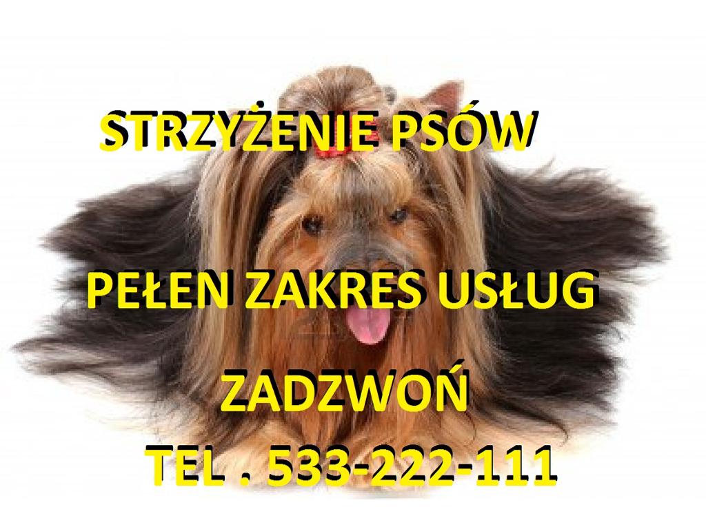 STRYZYENIE PSOW PELEN ZAKRES USLUG W-WA TARGOWEK, WARSZAWA, mazowieckie