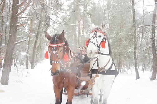 Zimowy obóz konny, jeździecki, ferie łódzkie, Popów, łódzkie