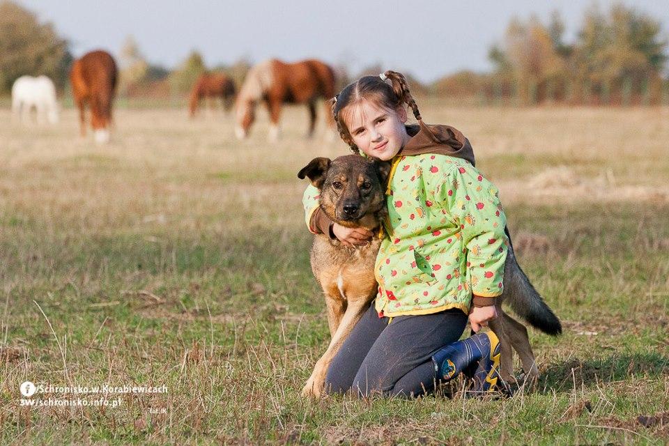 Jamajka adoptuj psa  idealna do domu z dzieckiem