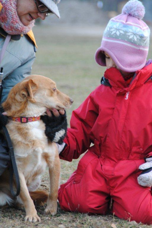 Nówka  adoptuj, cudowna i cierpliwa, do domu z dziećmi