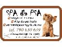 SPA dla PSA, Strzyżenie zwierząt, sklep dla psa i kota, psia myjnia