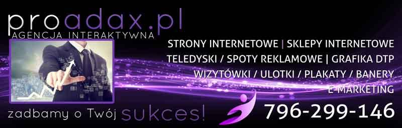 Profesjonalna wizytówka w sieci. Dynamiczne strony internetowe