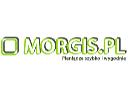 Morgis. pl to szybkie pożyczki przez SMS