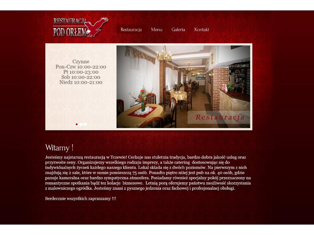 Profesjonalne strony internetowe e-sklepy reklamy montaż audio video