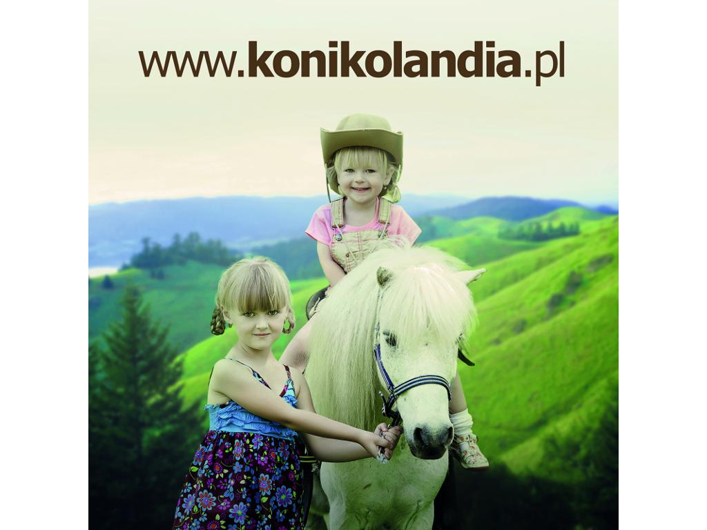 Konikolandia - jazda konna dla dzieci, atrakcje dla dzieci, bryczka, Malerzów , dolnośląskie