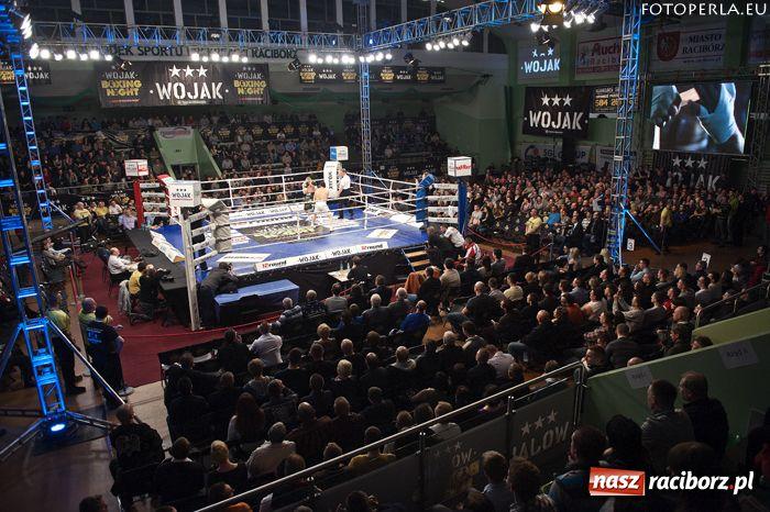 Wojak Boxing Night Polsat, www.jptelebim.pl