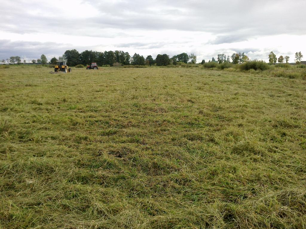 DARŁOWO SŁAWNO KOSZALIN Koszenie nieużytków  łąk wycinka krzaków, zachodniopomorskie