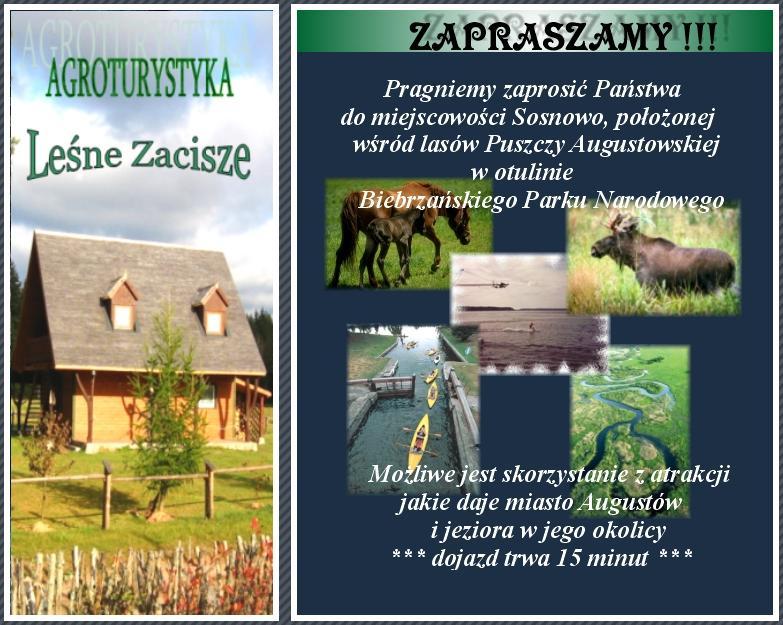 Agroturystyka - Janewiczówka , Sosnowo , podlaskie