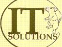 IT Solutions Informatyczne rozwiazania dla firm i domu, gostyń, wielkopolskie
