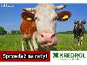 Kredrol najkorzystniejszy partner w rolnictwie, cała Polska