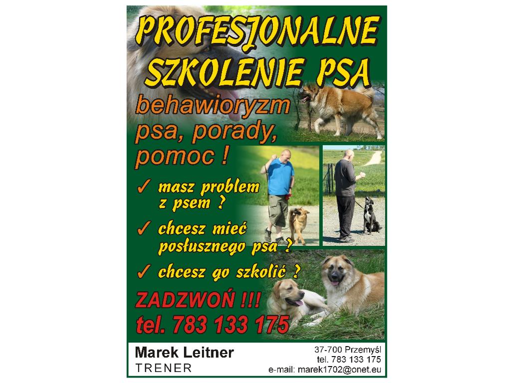 SZKOLENIE PSÓW POZYTYWNE KLIKEROWE PORADY POMOC, Przemyśl, podkarpackie