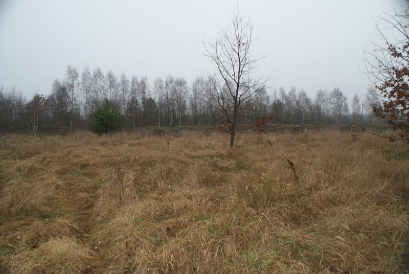 Teren inwestycyjny - Ostrów, gmina Celestynów, przy Trasie Lubelskiej, mazowieckie