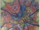 Motyl