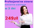 Profesjonalna strona internetowa www domena host , cała Polska