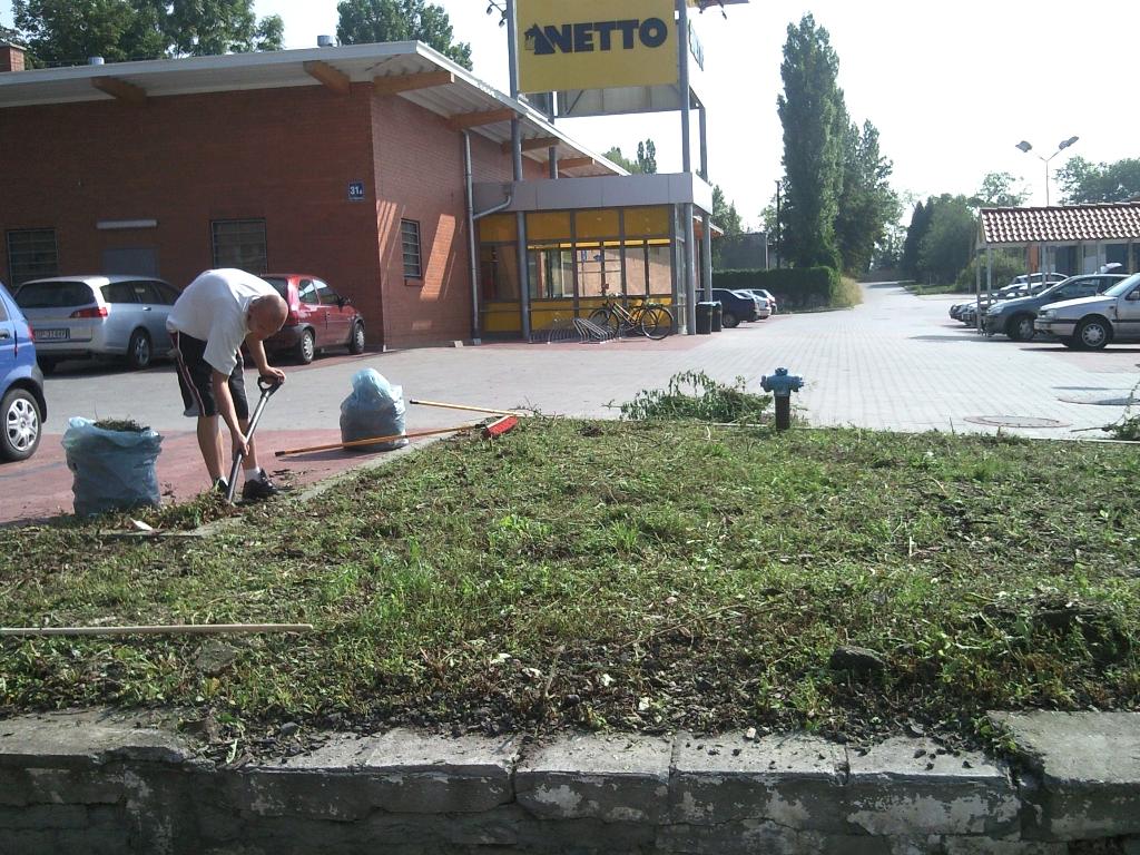 Zagospodarowanie terenów zielonych - kompleksowa obsługa , ZIĘBICE, dolnośląskie