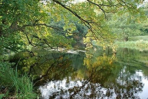 Nad Brdą-pokoje,kajaki-Bory Tucholskie,Przechlewo, pomorskie