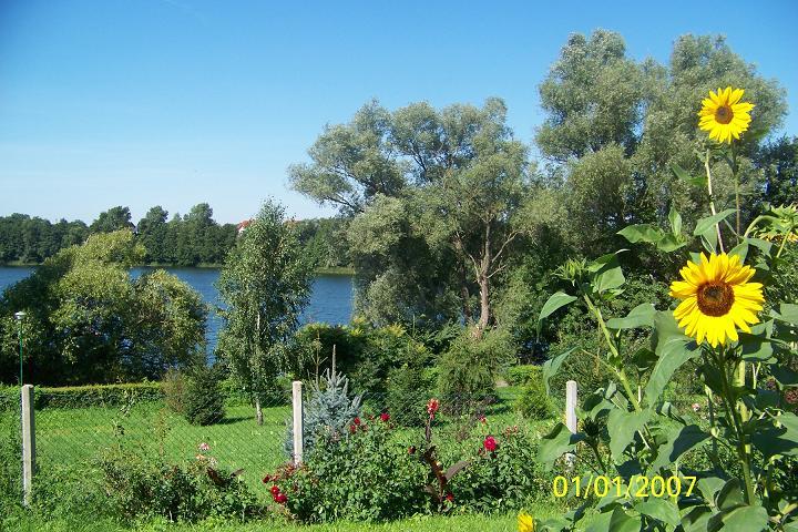 Wczasy rodzinne z wygodami nad jeziorem w BORACH TUCHOLSKICH-wypocznę!, CEKCYN, kujawsko-pomorskie